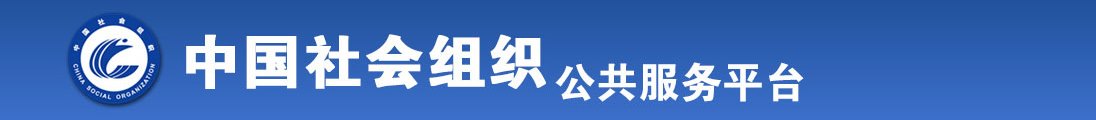 插插插骚逼全国社会组织信息查询